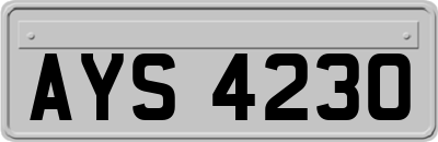 AYS4230