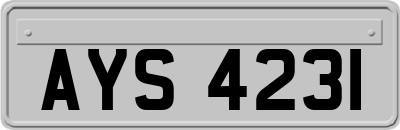 AYS4231