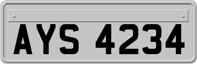 AYS4234