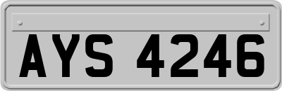 AYS4246