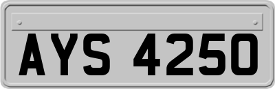 AYS4250