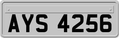 AYS4256