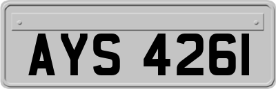 AYS4261