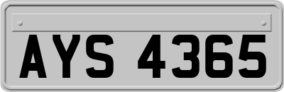 AYS4365