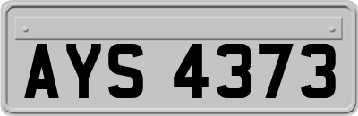 AYS4373