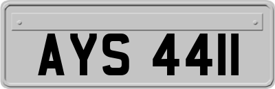 AYS4411