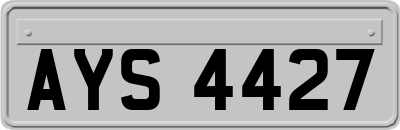AYS4427