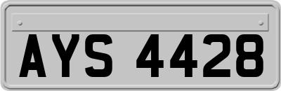 AYS4428