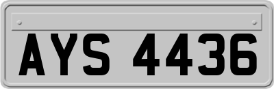 AYS4436