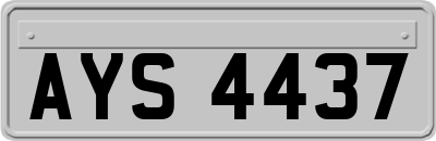 AYS4437