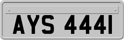 AYS4441