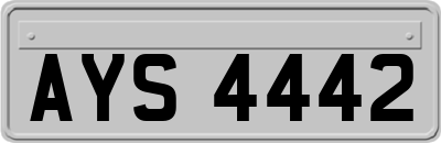 AYS4442