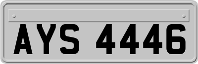 AYS4446