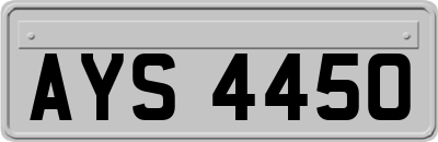 AYS4450