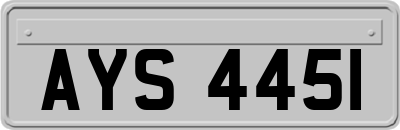AYS4451