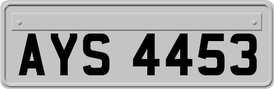 AYS4453