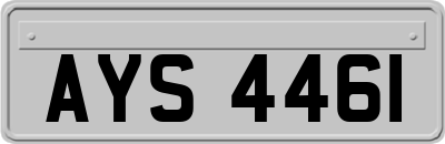 AYS4461