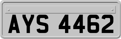 AYS4462