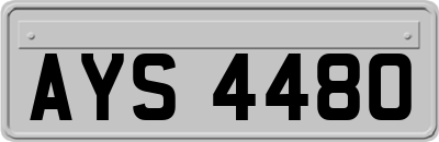 AYS4480