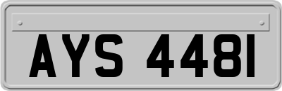 AYS4481