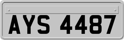 AYS4487