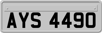 AYS4490