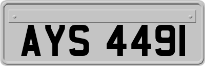 AYS4491