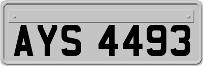 AYS4493