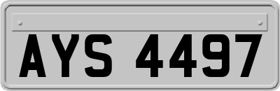 AYS4497