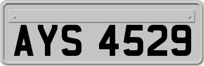 AYS4529