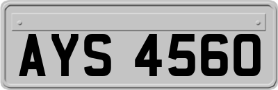 AYS4560