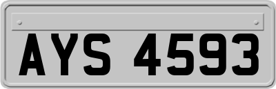 AYS4593