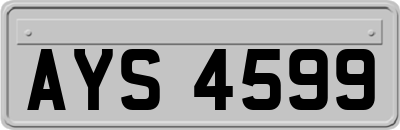 AYS4599