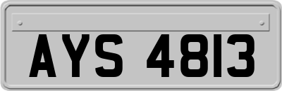 AYS4813