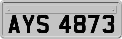 AYS4873