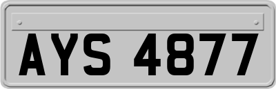 AYS4877