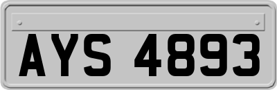 AYS4893