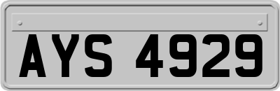 AYS4929