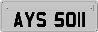 AYS5011