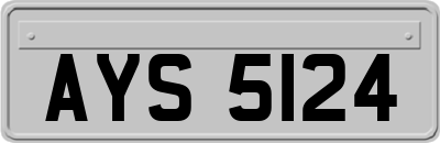 AYS5124