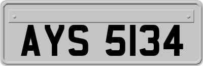 AYS5134