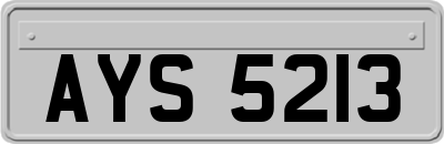 AYS5213