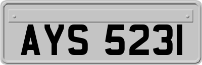 AYS5231
