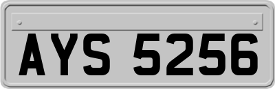 AYS5256