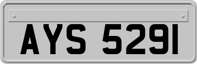 AYS5291