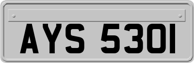 AYS5301