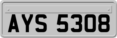 AYS5308