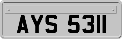 AYS5311
