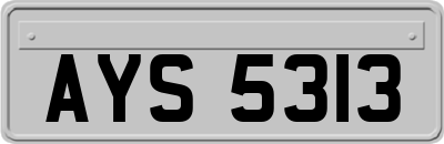 AYS5313