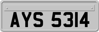 AYS5314